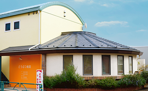 それいゆ動物病院