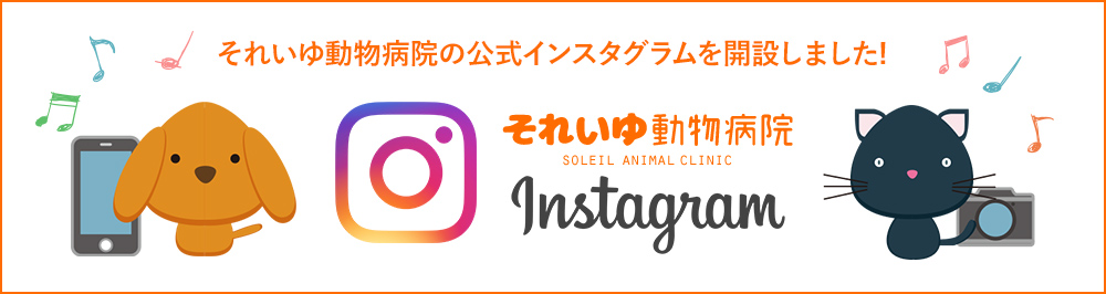 instagram始めました